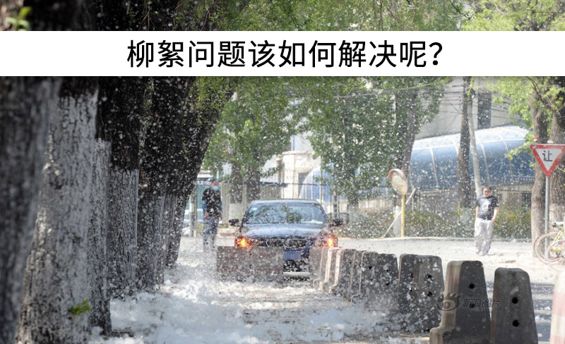 遇到“柳絮”不慌!這樣做，節(jié)能維修費用